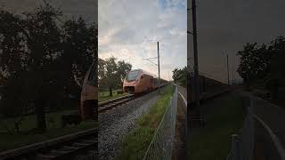 SOB Traverso SchweizerischeSüdostbahn trainspotting stadler schweiz train [upl. by Everett822]