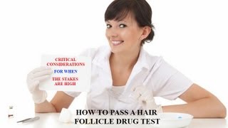 Hair Follicle Drug Test Pass a Drug Test Effects of Bleaching and Coloring Hair [upl. by Ocinom570]