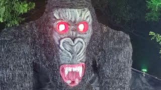 King Kong triggeredinsaan ganeshchaturti ganpativisarjan shortsfeed shortvideo bollywood [upl. by Boris]