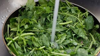 sarson ka saag saag recipe signature dish of Punjab winter special Easy Cooking With Amrita [upl. by Naivart364]