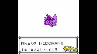 Nidoran♂ Evolution Nidorino  Pokémon Yellow  SPB [upl. by Dorthea]