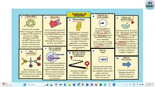 Enzyme general character apbiology ibbiology neetbiology enzymes lifescience biomolecules [upl. by Tselec]