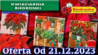 đťđťđť„đťđť‘đťŽđťŤđťŠđť€ đźž Kwiaciarnia Biedronki Nowa Oferta Od 21122023  Kwiatowe Inspiracje Biedronki [upl. by Voss]