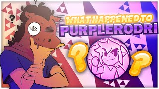 What Happened to PurpleRodri [upl. by Suivatram713]