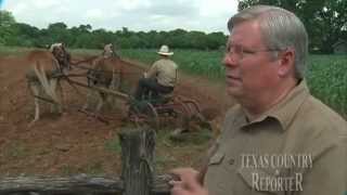 Homestead Heritage Village Texas Country Reporter [upl. by Teresina872]