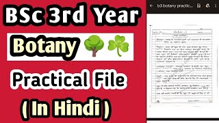 BSc 3rd Year Botany Practical File for Hindi medium bsc2023 [upl. by Bibah]