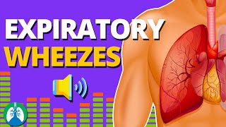 Expiratory Wheezes Monophonic vs Polyphonic  Respiratory Therapy Zone [upl. by Johannes]