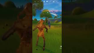 Teammate found fortnite funny moment [upl. by Stanway]