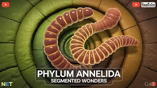 Phylum Annelida – General Features Segmentation amp Examples Explained  NEET UG Biology [upl. by Nasah]