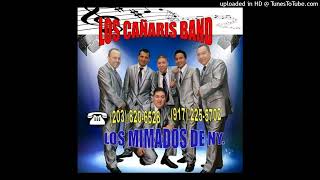 PECADO DE AMOR CAÑARIS BAND INTRO [upl. by Eiram]