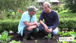 How To Grow Sprouting Broccoli  The Easy Way [upl. by Dex337]