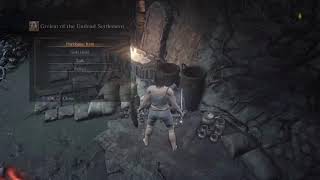 DS3 COOP Dagger Run Only CHALLENGE  01 [upl. by Jasmina]