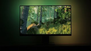 Ambilight Video Game Demo  Recording [upl. by Hi315]