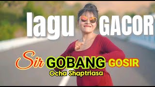 SIR GOBANG GOSIR  LAGU DANGDUT GACOR  Cover Ocha Shaptriasa [upl. by Anahahs536]