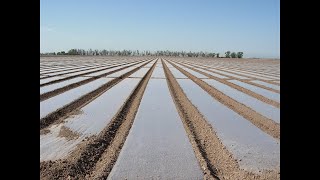 BioSolarisering – Fördelar amp Nackdelar [upl. by Aguie]