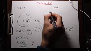 Pediatrics Genetics Down Syndrome PKU Galactosemia  Islam Raky [upl. by Atat373]