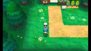 Pokemon Omega RubyAlpha Sapphire  TM49 Echoed Voice Location [upl. by Nallij]