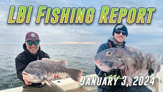 LBI Fishing Report 1324  Scoolie Striped Bass amp Big Tog Are Being Caught Right Now [upl. by Ahsytal]