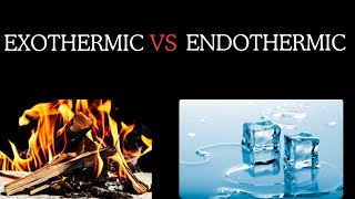 Exothermic vs Endothermic Reactions [upl. by Aicyle890]