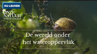 Onze Natuur doorgrond  II De wereld onder het wateroppervlak [upl. by Dugan]