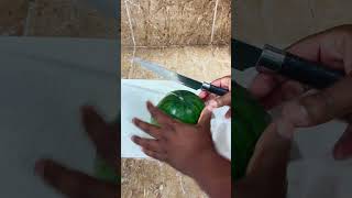 Weird Watermelon Cutting Hack 🍉 satisfyingcutting watermeloncutting uniquecutting fruitcutting [upl. by Mccall114]