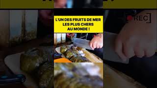 Lun des fruits de mer les plus chers au monde  food streetcuisine cuisine streetfood recette [upl. by Wilton]