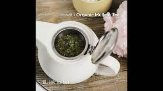 Benefits of Organic Mullein Tea [upl. by Yokum]