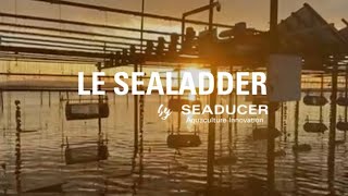 SEALADDER by Seaducer [upl. by Anibas]