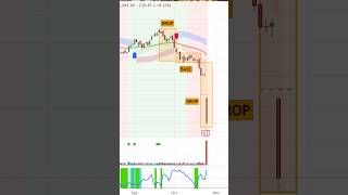 🚨 IndusInd Bank CRASHES 19 😱 Did Technical Analysis WARN Us 📉 Fundamental Analysis FAILED [upl. by Sarah]