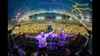 Vini Vici ft Hilight Tribe  Moyoni LIVE Tomorrowland 2019 [upl. by Bevers623]