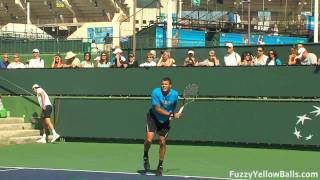 JoWilfried Tsonga Serves in HD [upl. by Wainwright307]