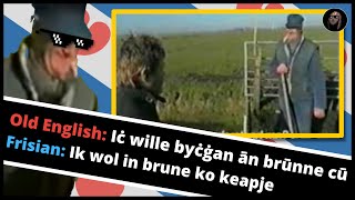 The Frisian Perspective on quotTalking to a Frisian farmer in Friesland with Old Englishquot [upl. by Ynnep]