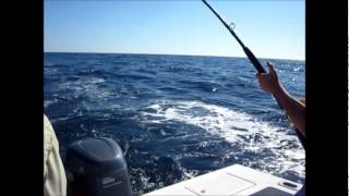 OFFSHORE FISHING TROLLING THE 40 LINEwmv [upl. by Nwavahs514]