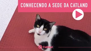 Catland  CONHECENDO A SEDE DA CATLAND [upl. by Julian]