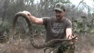 Relentless Pursuit  Bowhunting Snakes and Wild Boar  Part 107 [upl. by Elgar]