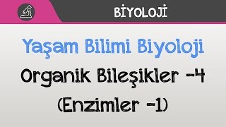 Yaşam Bilimi Biyoloji  Organik Bileşikler 4 Enzimler 1 [upl. by Verla]