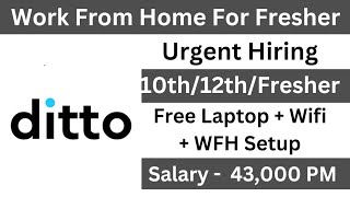 Ditto Work From Home Jobs  Ditto Work From Home  WFH Jobs  Online Jobs For Freshers  Remote Jobs [upl. by Noelopan387]