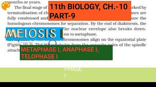 Class 11 biology Ch10Part9Meiosis I Metaphase Ianaphase ITelophase IStudy with Farru [upl. by Atirb]