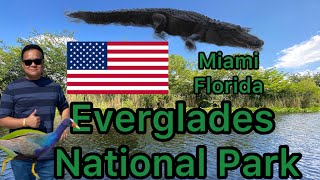 Everglades National Park  Miami  Florida [upl. by Entwistle]