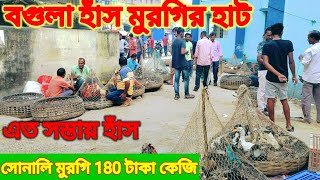 বগুলা মুরগির হাট  bagula murgi hat  desi murgi Palan [upl. by Shaine]