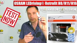 Тест Светодиодных Ламп OSRAM LEDriving Retrofit H8H11H16 [upl. by Elleniad]