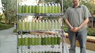 An Algae Bioreactor from Recycled Water Bottles [upl. by Mohandas]