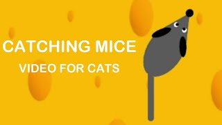 CAT GAMES  Catching Mice Video for Cats to Watch [upl. by Zinah140]