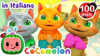 I tre gattini  CoComelon  Moonbug Kids  Cartoni Animati [upl. by Canute]