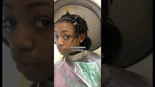 From Braids to loc’s   locstyles naturalhair locsjourney locs [upl. by Azeel782]