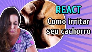 COMO IRRITAR O SEU CACHORRO  REAGINDO  REACT [upl. by Regdirb]