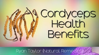 Cordyceps Benefits for Health [upl. by Wallis92]