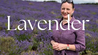 FEEL GOOD FRIDAY  LAVENDER amp MEADOW FIELDS  INTRO TO FENG SHUI MOVING HOUSE  Life with Josephine [upl. by Ilana]