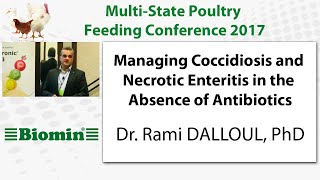 Managing Coccidiosis and Necrotic Enteritis in the Absence of Antibiotics [upl. by Naiditch]