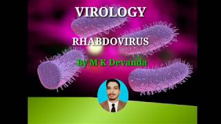 Rhabdo Viruses Rabies Virus Virology [upl. by Jedd724]